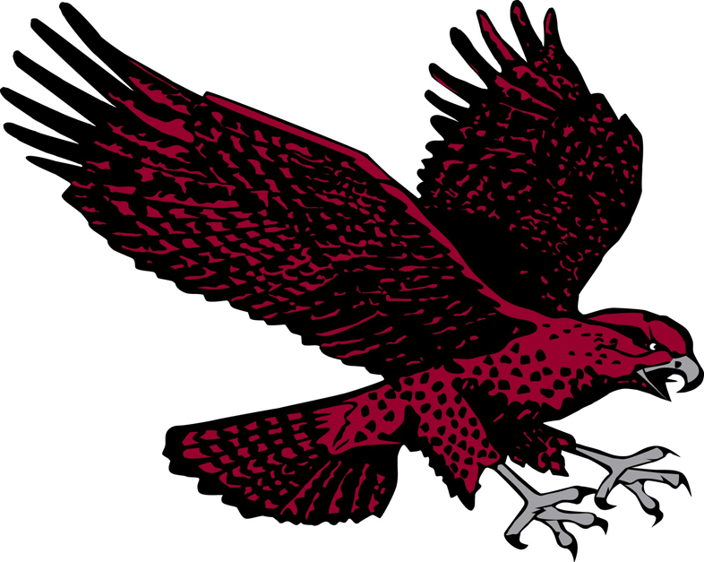 Maryland-Eastern Shore Hawks 2007-Pres Secondary Logo t shirts iron on transfers